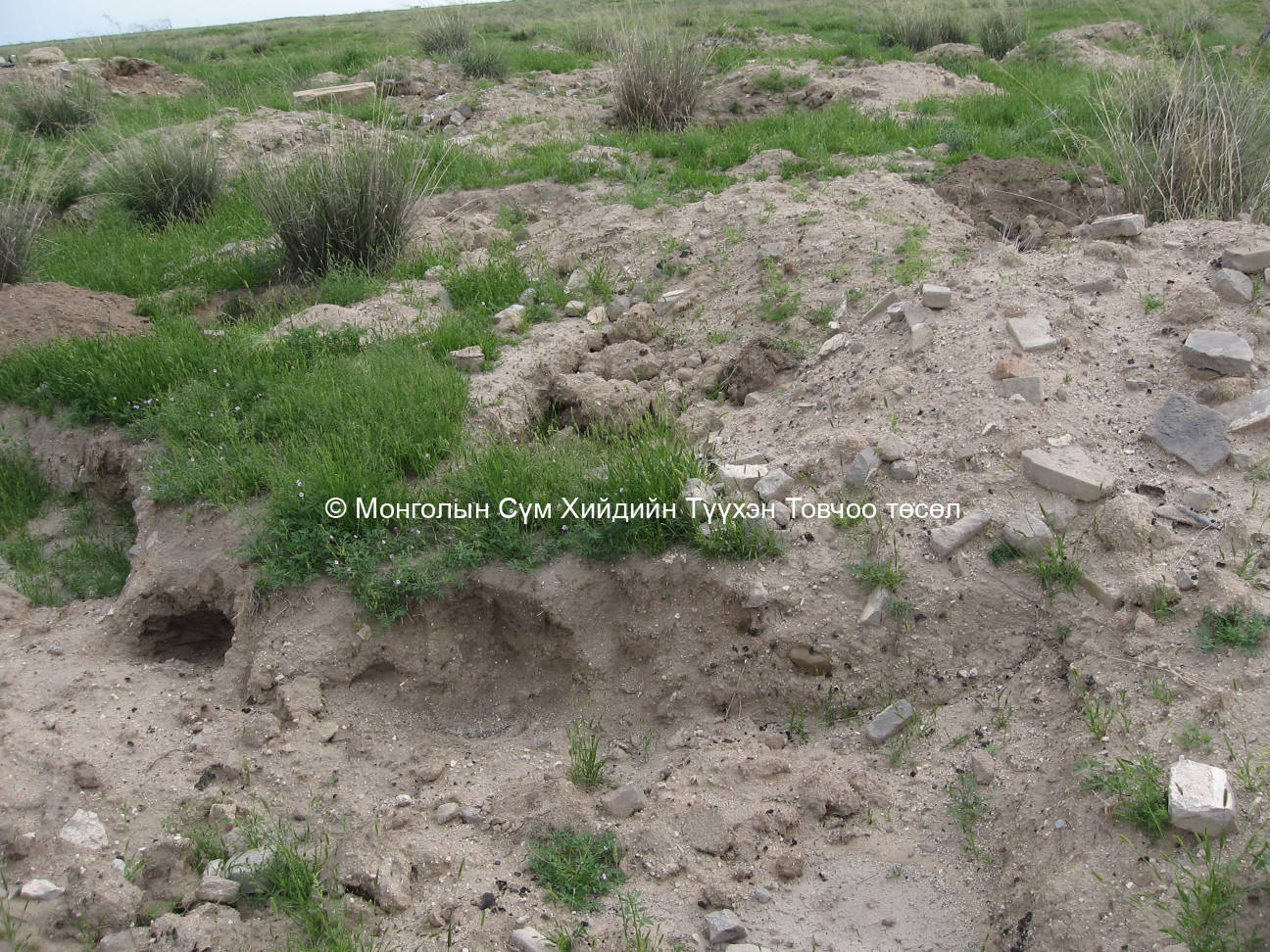 Баруун-Өмнөд талаас авсан/Утай уулын хийдийн цогчи